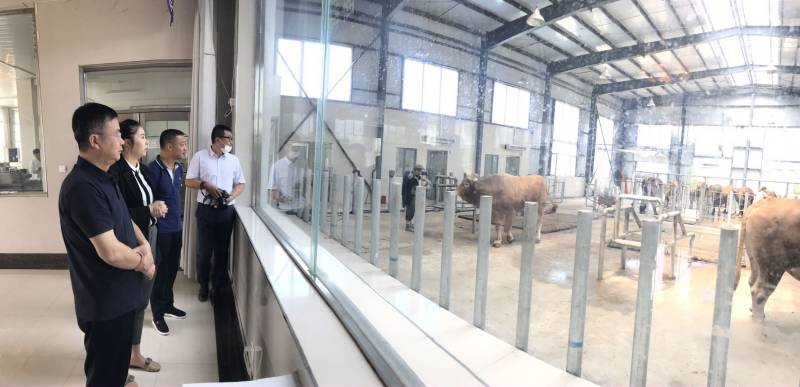 州委组织部副部长来企业调研