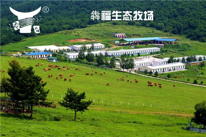 喜报频传！延边畜牧开发集团有限公司获“国字号”殊荣、登全省百强榜