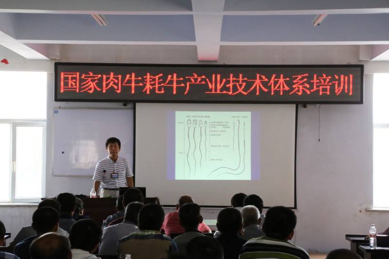 为扶贫群众举办畜牧养殖培训班