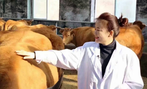 吕爱辉：和延黄牛打交道的“双语”女硕士