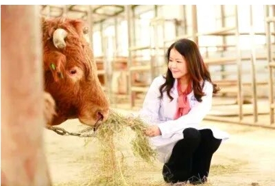 开局蓄力·代表委员履职记｜全国政