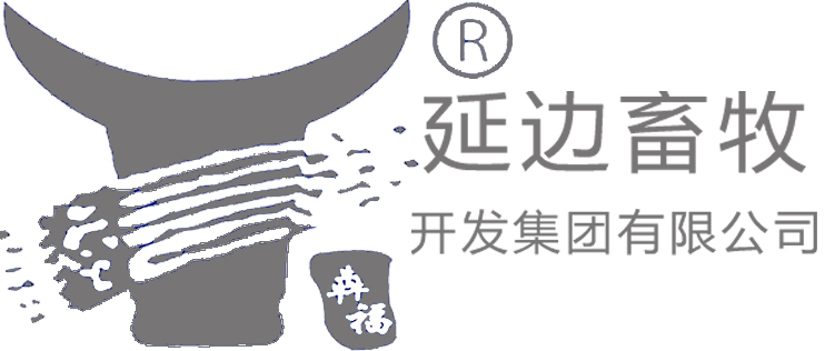 这是描述信息